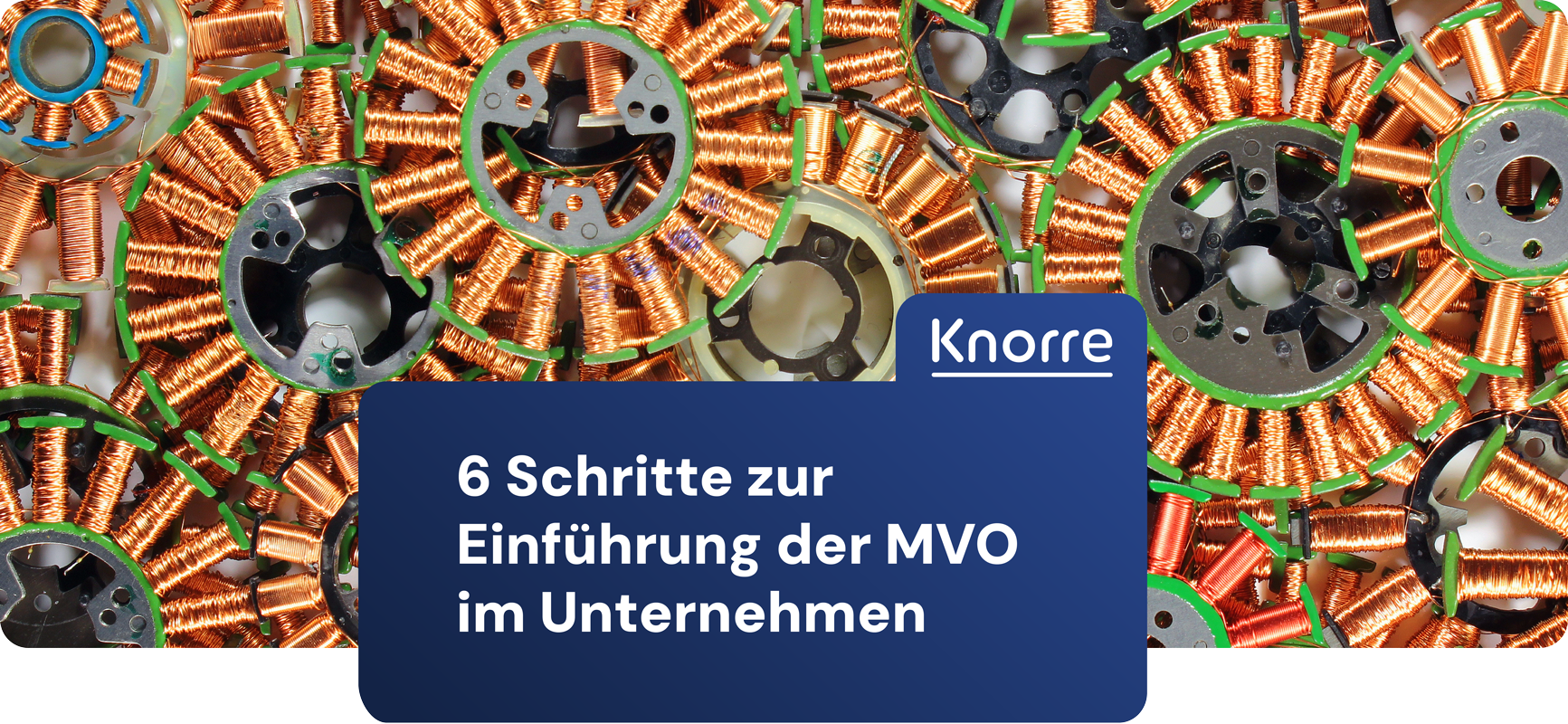 6 Schritte zur Einführung der MVO im Unternehmen